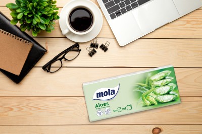 Mola Sensitive Aloe Vera chusteczki higieniczne 10 paczek